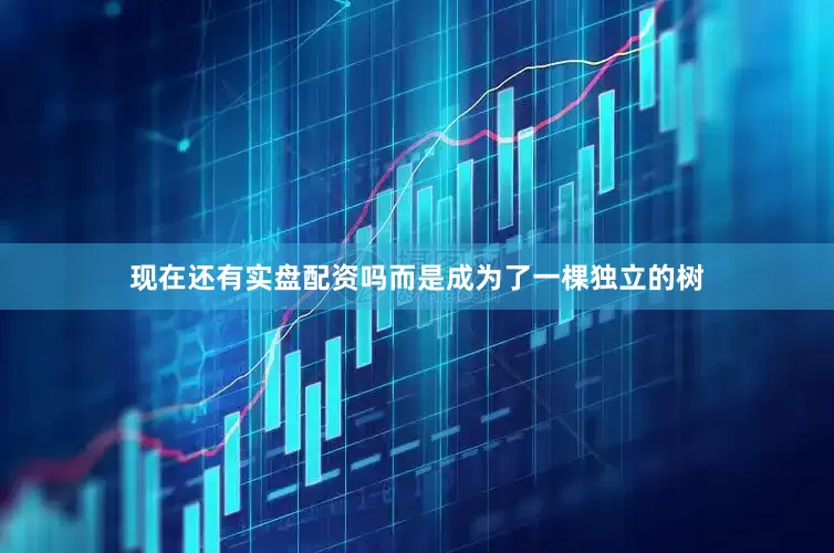 现在还有实盘配资吗而是成为了一棵独立的树